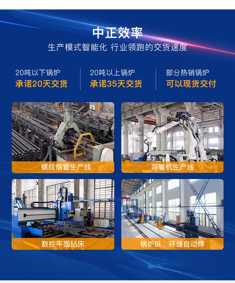 DZL系列生物质水火管热水锅炉