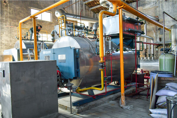 澄润石油化工500万大卡YQW系列燃气卧式导热油锅炉项目