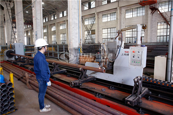 6吨WNS系列冷凝式燃气蒸汽锅炉项目（李记酱菜）