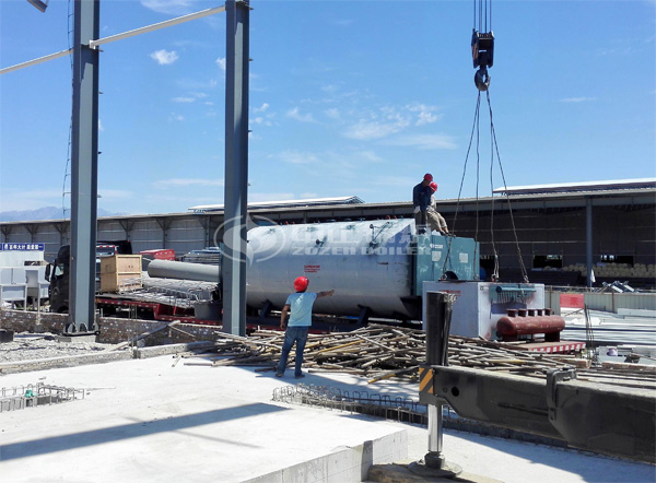 DZL系列生物质蒸汽锅炉